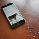 Photos: Justin Westbrook/Gizmodo